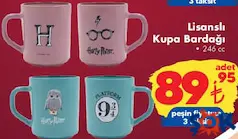 RAKLE HARRY POTTER LİSANSLI KUPA BARDAĞI 246 CC fiyat ve kampanya bilgisi